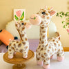 Giraffe Plush Toys
