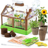 Plant Growing Kit with Irrigation System and Solar LED Grow Lights