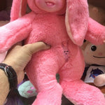 Rabbit Reborn Doll