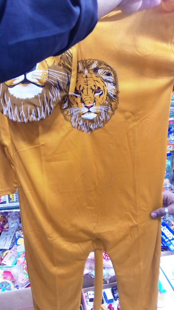 Lion Costume with tail