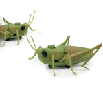 Insect Model Toys