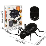 Remote-Controlled Ant