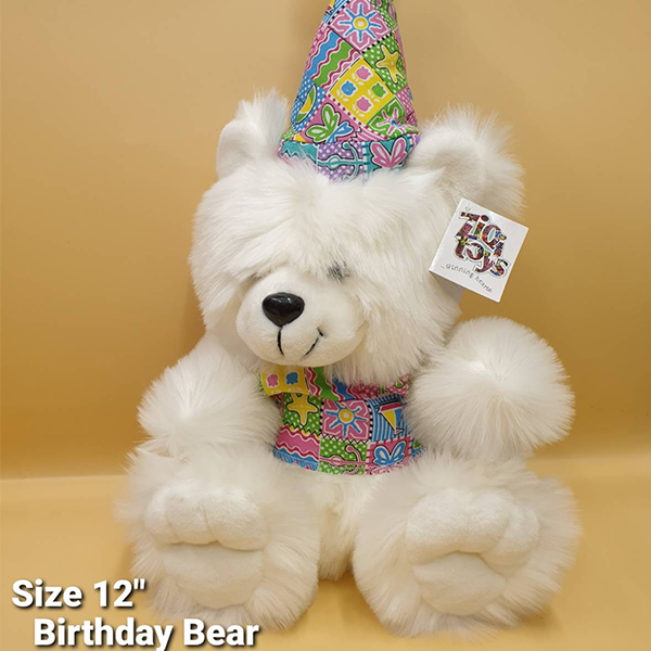 Birthday Bear With Cap & Jacket 12"