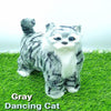 Gray Beautiful Dancing Cat