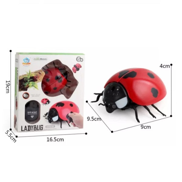 Ladybug Game Toy