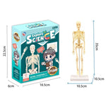 Human Bone Play Set