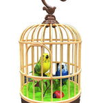 Bird Pet Toy