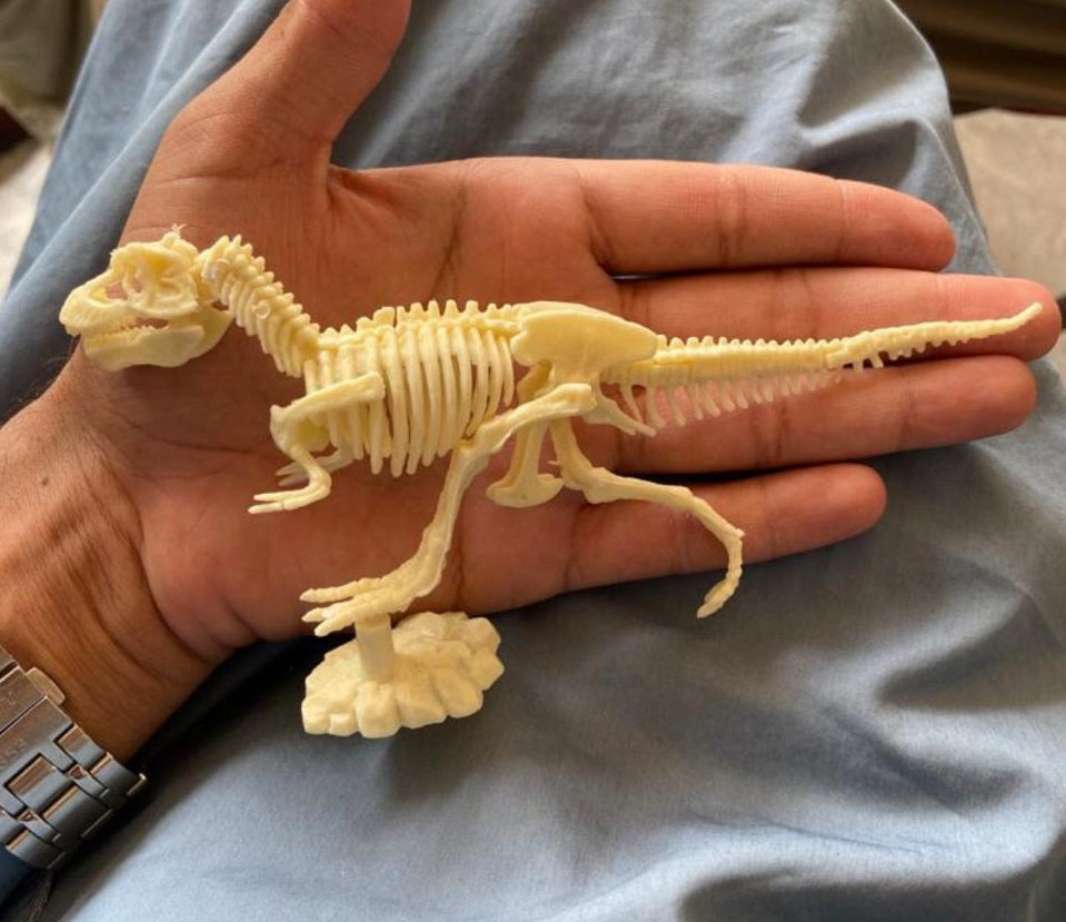 Dinosaur Excavation Model Kit