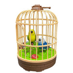 Bird Pet Toy