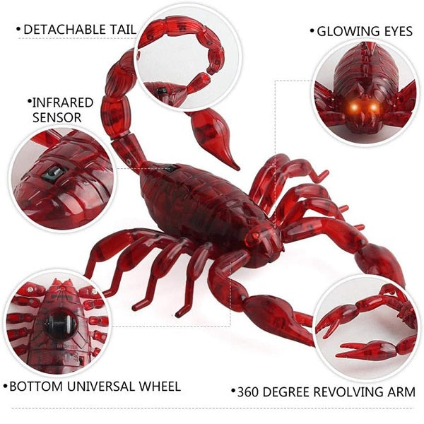 Remote Control Scorpion Toy