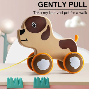 Push & Pull Toy