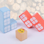 Building Block Toys