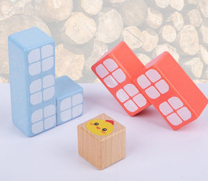 Building Block Toys