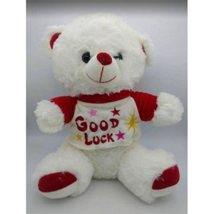 Teddy Bear (Good Luck )