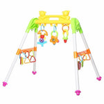 Baby Activity Play Gym