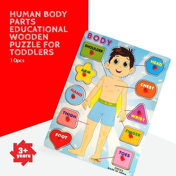 Human Body Puzzle