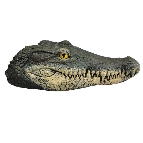 Crocodile Head Boat