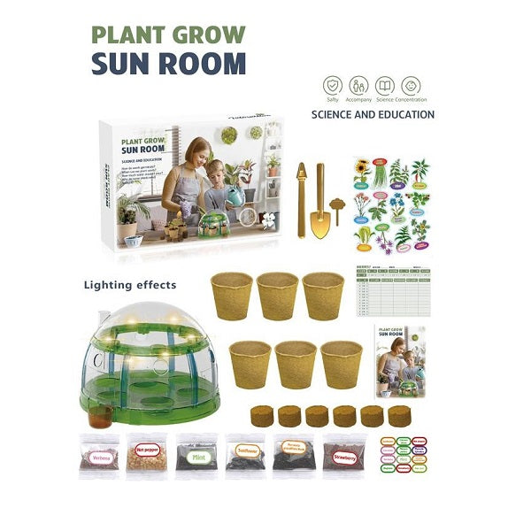 Plant Grow Sun Room