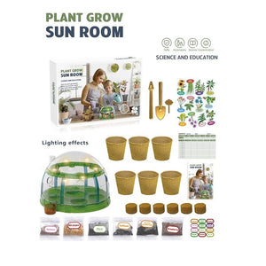 Plant Grow Sun Room