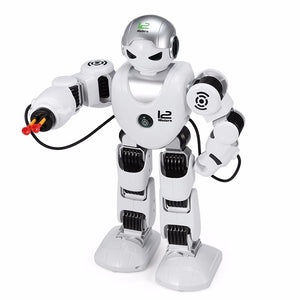 Remote Control Robot Toy