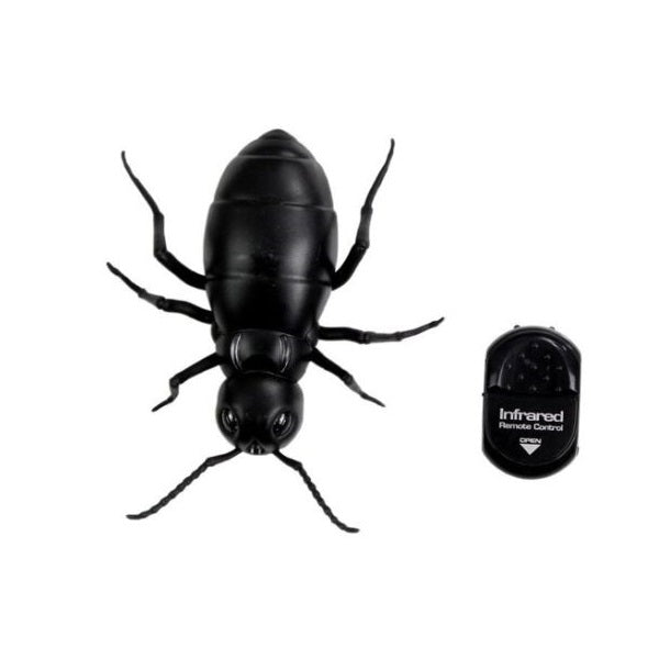 Remote-Controlled Ant