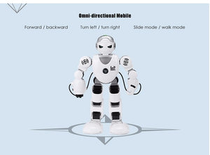 Remote Control Robot Toy