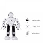 Remote Control Robot Toy