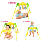 Baby Activity Play Gym